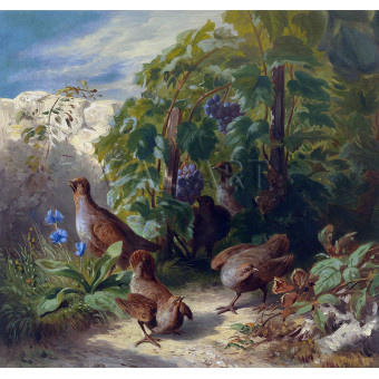 РЕПРОДУКЦИИ НА КАРТИНИ Яребици (1870)